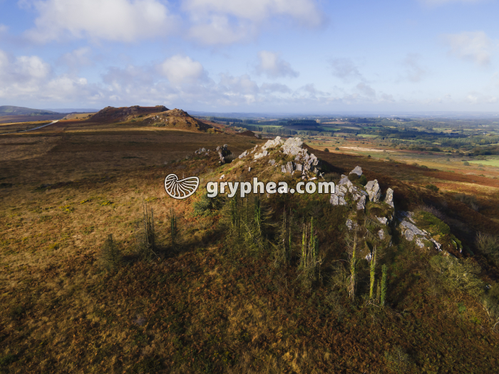 Roc Trevezel (Monts d'Arrée, Massif armoricain) - gryphea.com